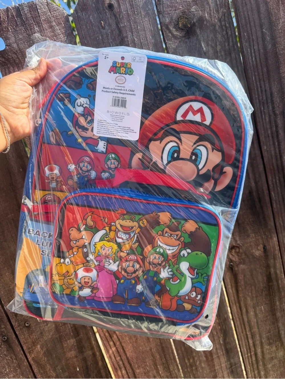Boys Backpack Mario Bros Back to school